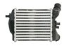 Intercooler Thermotec DAF018TT