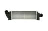Intercooler Thermotec DAG010TT