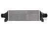 Intercooler Thermotec DAG012TT