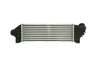 Intercooler Thermotec DAG010TT