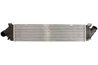 INTERCOOLER THERMOTEC DAG013TT - Compatibil cu FORD, VOLVO