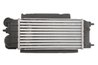 INTERCOOLER THERMOTEC DAG014TT - Compatibil cu FORD