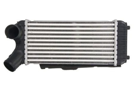 Intercooler Thermotec DAG024TT