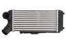 Intercooler Thermotec DAG024TT