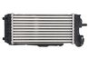 Intercooler Thermotec DAG024TT