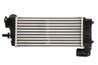 INTERCOOLER THERMOTEC DAG025TT - Compatibil cu FORD