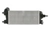 INTERCOOLER THERMOTEC DAG032TT - Compatibil cu FORD