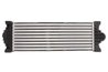 Intercooler Thermotec DAG034TT