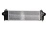 Intercooler Thermotec DAIV005TT