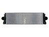INTERCOOLER THERMOTEC DAM004TT - Compatibil cu MERCEDES-BENZ, VW