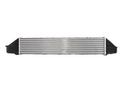 Intercooler Thermotec DAM005TT