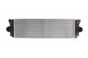 INTERCOOLER THERMOTEC DAM006TT - Compatibil cu MERCEDES-BENZ, VW