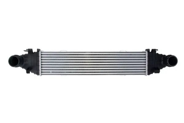 Intercooler Thermotec DAM009TT