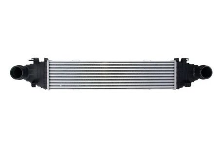 Intercooler Thermotec DAM009TT