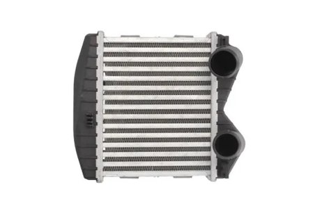 Intercooler Thermotec DAM012TT