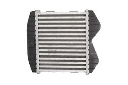 Intercooler Thermotec DAM012TT