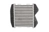 Intercooler Thermotec DAM012TT