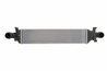 Intercooler Thermotec DAM017TT