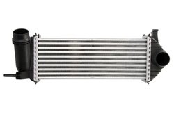 Intercooler Thermotec DAM019TT