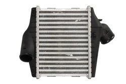 Intercooler Thermotec DAM027TT