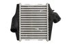 Intercooler Thermotec DAM027TT
