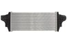 INTERCOOLER THERMOTEC DAM029TT - Compatibil cu MERCEDES-BENZ
