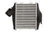 Intercooler Thermotec DAM027TT