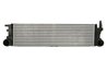 INTERCOOLER THERMOTEC DAM032TT - Compatibil cu MERCEDES-BENZ