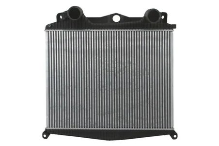 INTERCOOLER THERMOTEC DAMA006TT - Compatibil cu MAN