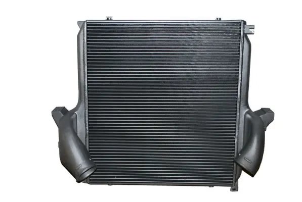 Intercooler Thermotec DAME001TT