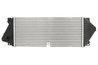 INTERCOOLER THERMOTEC DAM037TT - Compatibil cu MERCEDES-BENZ