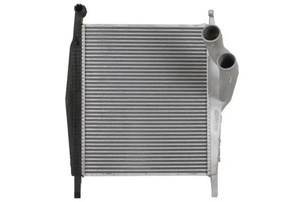 Intercooler Thermotec DAME005TT