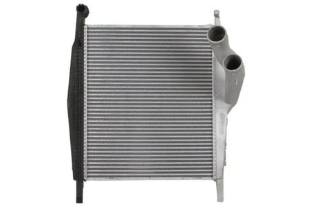 Intercooler Thermotec DAME005TT