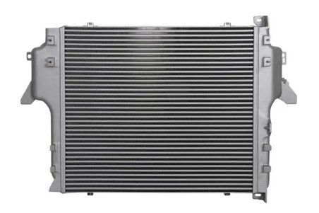 Intercooler Thermotec DAME008TT