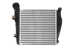 Intercooler Thermotec DAN001TT