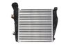 Intercooler Thermotec DAN001TT