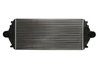 Intercooler Thermotec DAP001TT