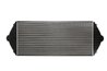 Intercooler Thermotec DAP001TT