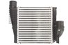 Intercooler Thermotec DAP004TT