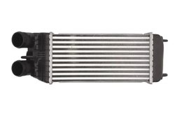 Intercooler Thermotec DAP003TT