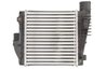 Intercooler Thermotec DAP004TT