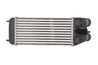 INTERCOOLER THERMOTEC DAP003TT - Compatibil cu CITROEN, DS, PEUGEOT