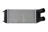INTERCOOLER THERMOTEC DAP006TT - Compatibil cu CITROEN, FIAT, PEUGEOT, TOYOTA