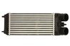 INTERCOOLER THERMOTEC DAP007TT - Compatibil cu NISSAN, PEUGEOT