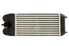 INTERCOOLER THERMOTEC DAP007TT - Compatibil cu NISSAN, PEUGEOT