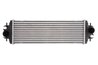 INTERCOOLER THERMOTEC DAR009TT - Compatibil cu NISSAN, OPEL, RENAULT