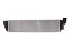 Intercooler Thermotec DAR008TT