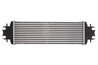 INTERCOOLER THERMOTEC DAR009TT - Compatibil cu NISSAN, OPEL, RENAULT