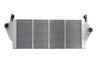 Intercooler Thermotec DAR010TT