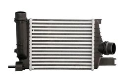 Intercooler Thermotec DAR017TT
